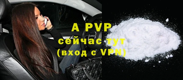 дживик Болотное
