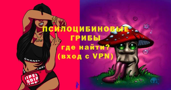 бошки Болхов