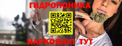 соль ск Аргун
