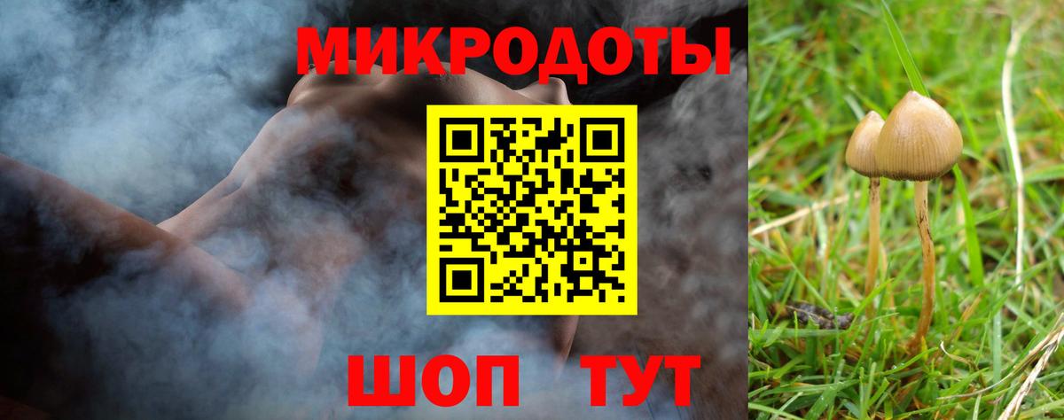 Сланцы  Псилоцибиновые грибы Cubensis  Вход с VPN 