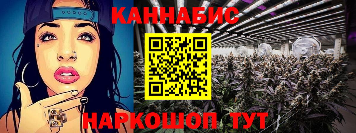Конопля сатива  Марихуана план  Вход с VPN  Сланцы 